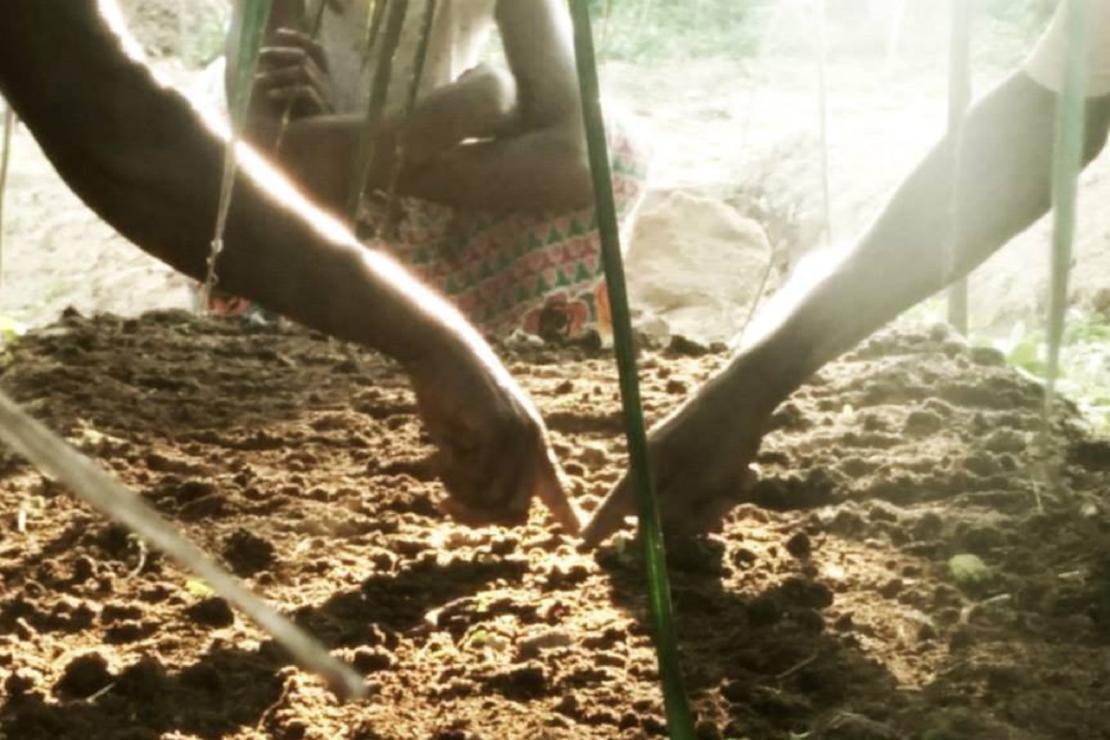 Un giardino in memoria di Lele